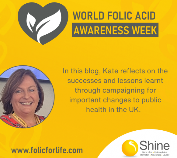 Reflecting on the successes and lessons learnt through campaigning for important changes to public health in the UK.