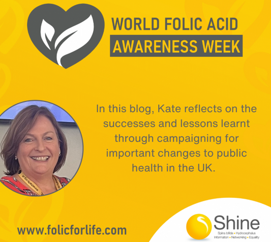 Reflecting on the successes and lessons learnt through campaigning for important changes to public health in the UK.