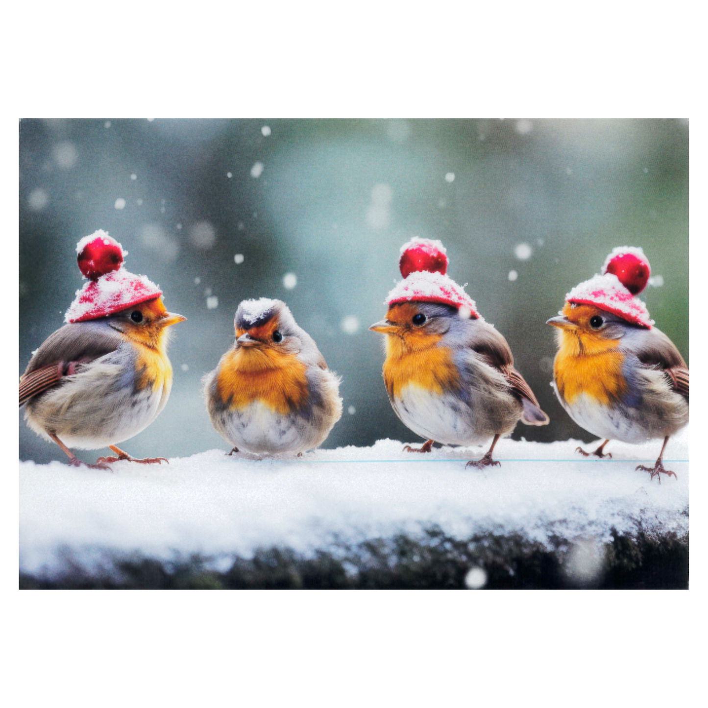 Christmas Robins